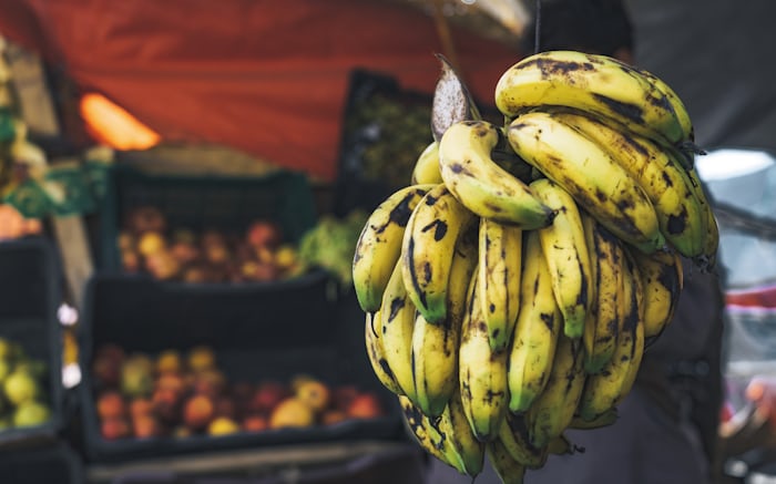 Efik Plantain